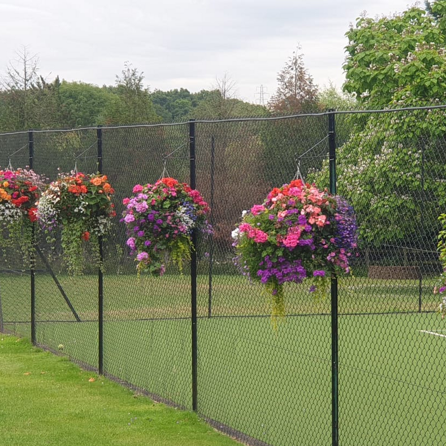 Absolutely stunning around the tennis courts.  'Our Own Mix'.  You could also choose to have identical baskets if you prefer.