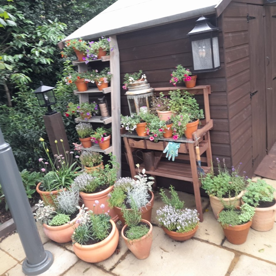 The Potting Shed